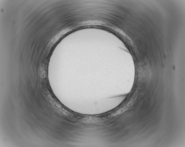 X0000085820929200704132008