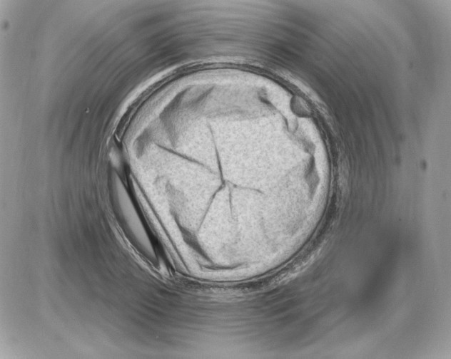 X0000085820933200704132008