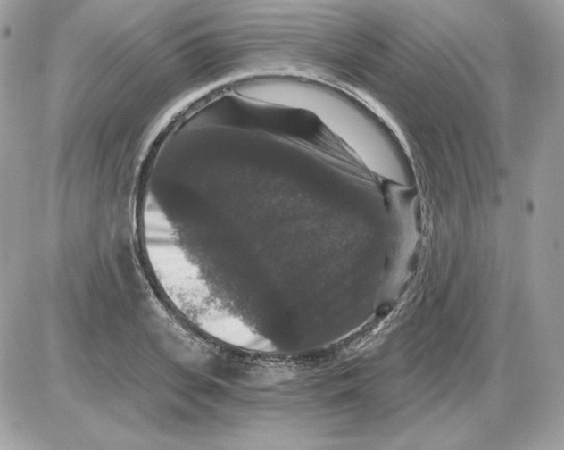 X0000085820935200704132008