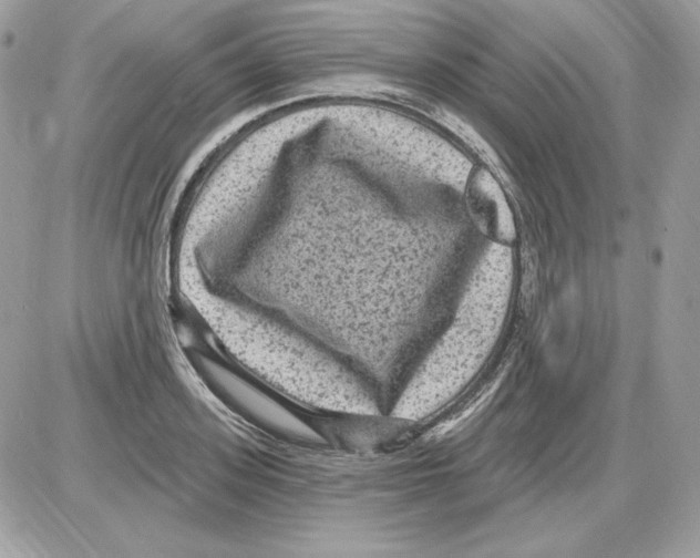 X0000085820939200704132008