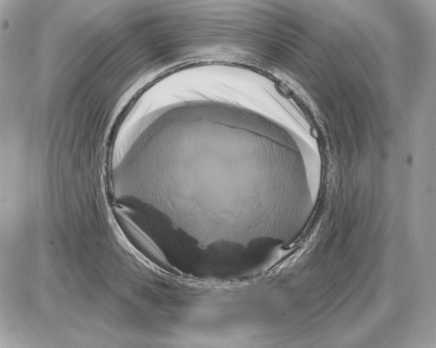 X0000085820941200704132008