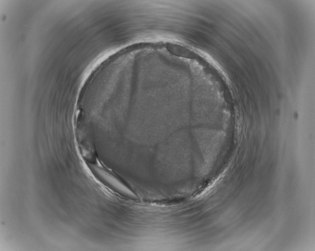 X0000085820943200704132008