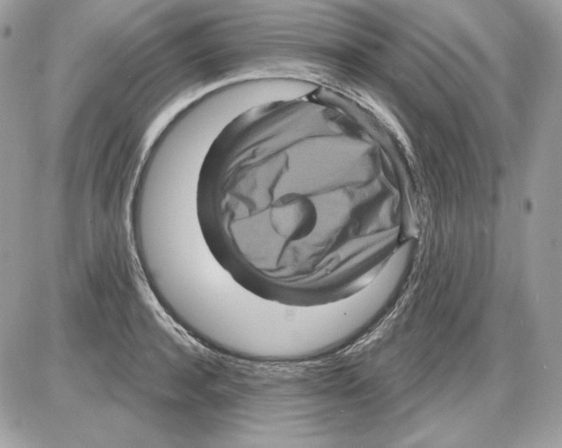 X0000085820944200704132008