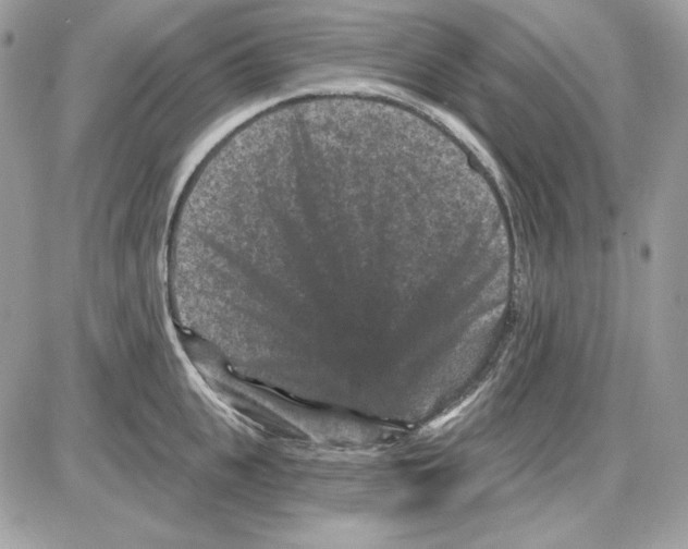 X0000085820951200704132008