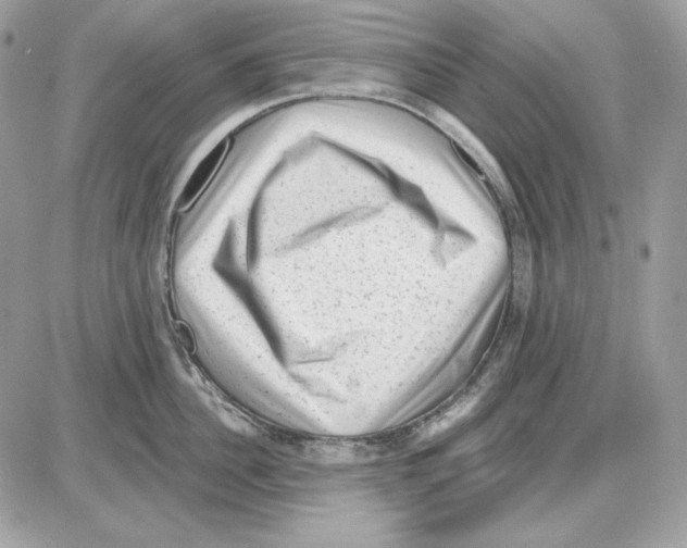 X0000085820956200704132009