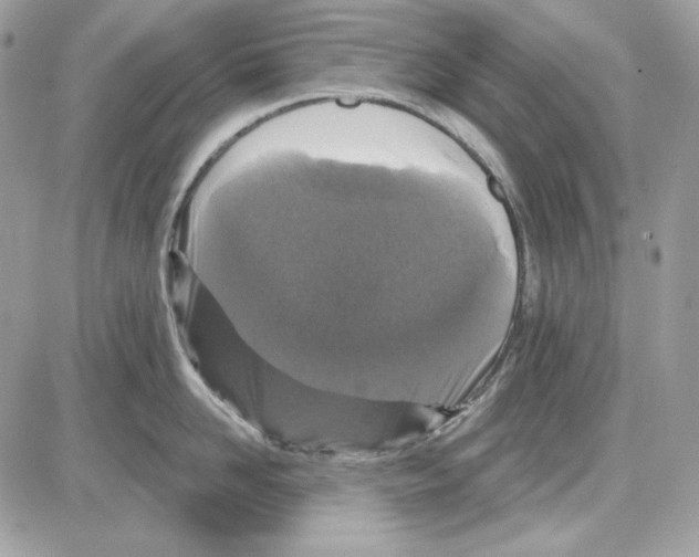 X0000085820958200704132009