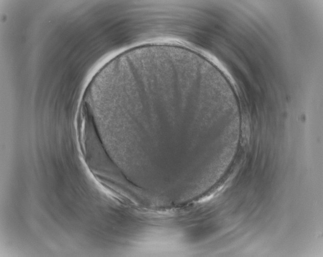 X0000085820959200704132009