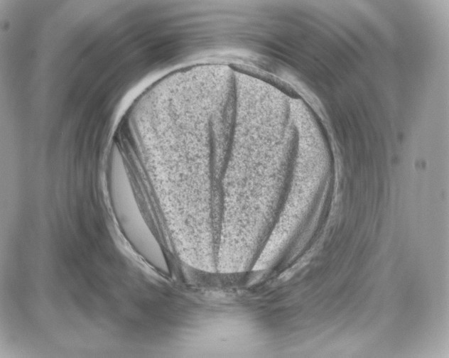 X0000085820960200704132009