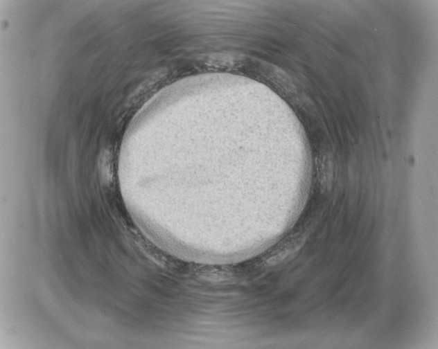 X0000085820962200704132008