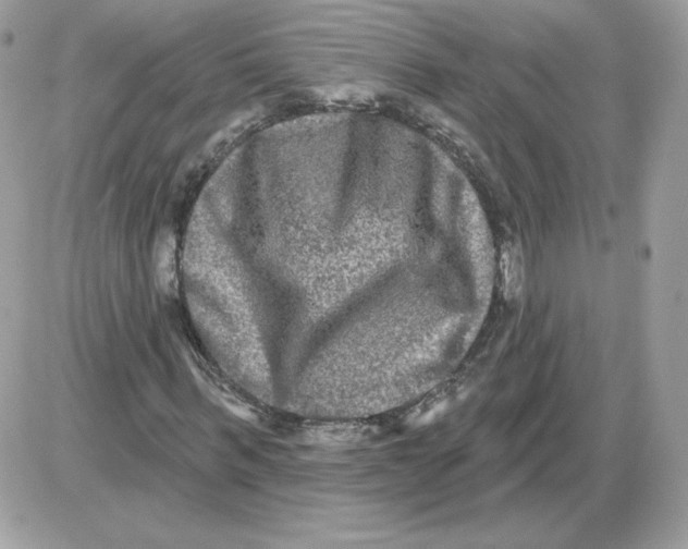 X0000085820963200704132008