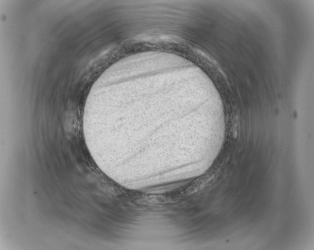 X0000085820966200704132008