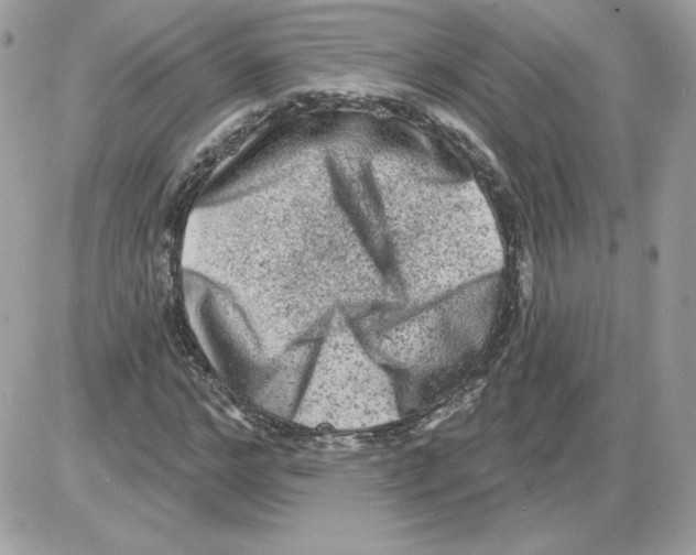 X0000085820968200704132008