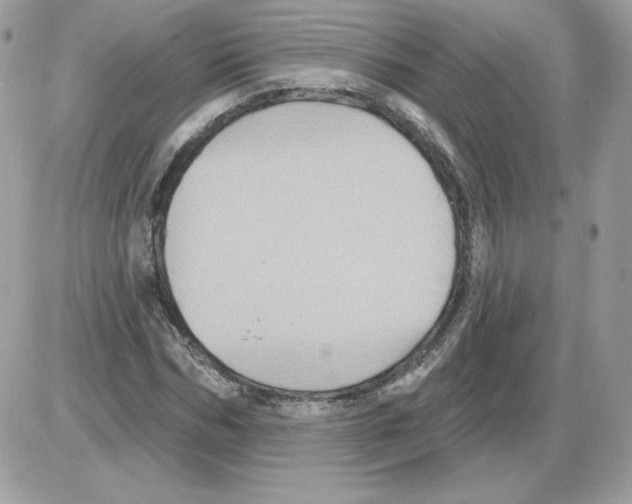 X0000085820970200704132008