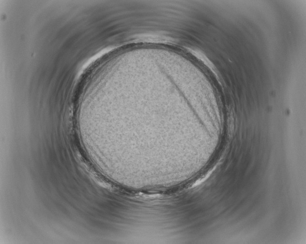 X0000085820971200704132008