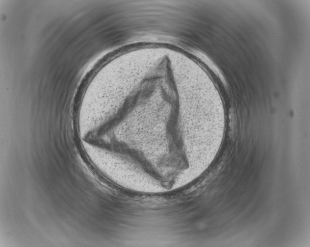 X0000085820972200704132008