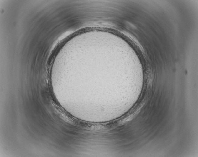 X0000085820974200704132008