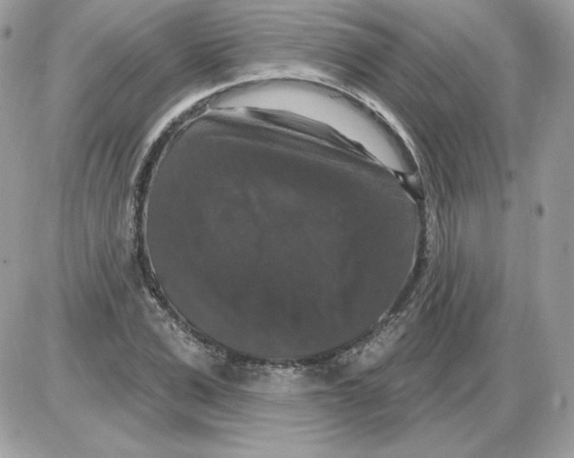 X0000085820975200704132008