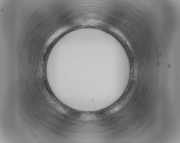 X0000085820978200704132007