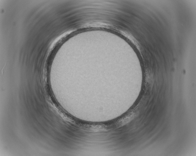 X0000085820979200704132007