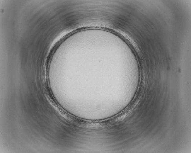 X0000085820982200704132007