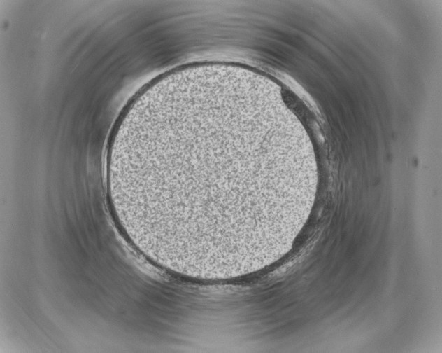X0000085820988200704132007