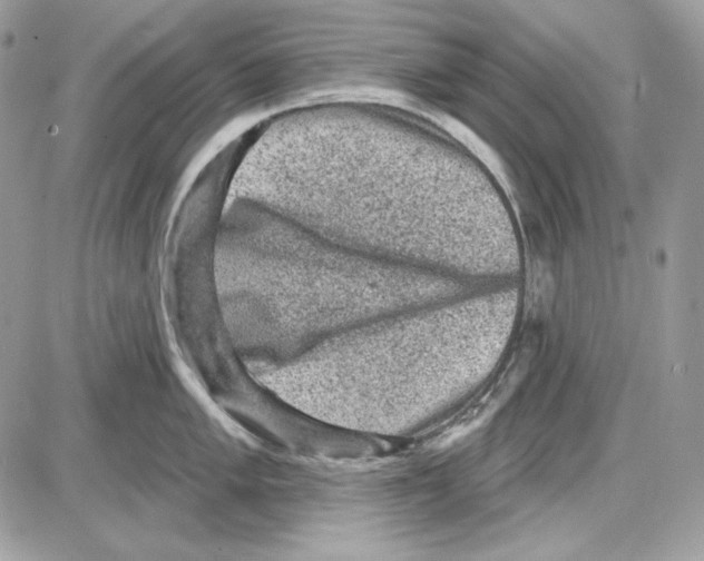 X0000085821005200704132007