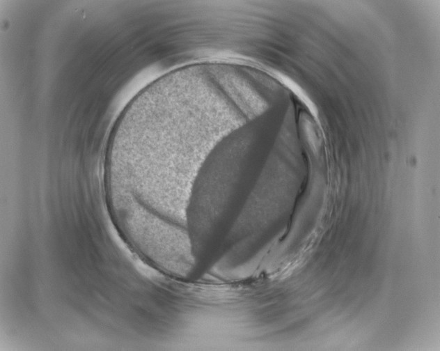 X0000085821007200704132007