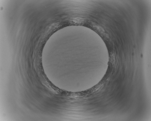 X0000085821009200704132006