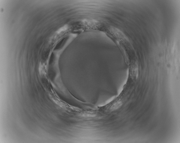X0000085821010200704132006