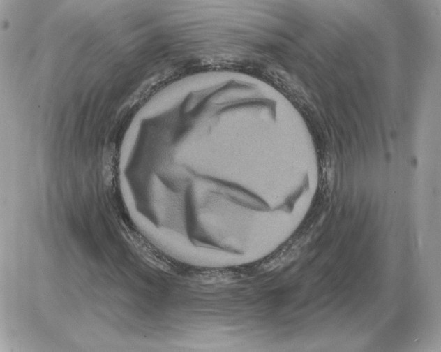 X0000085821012200704132006