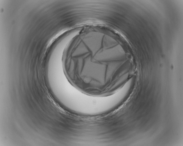 X0000085821018200704132006