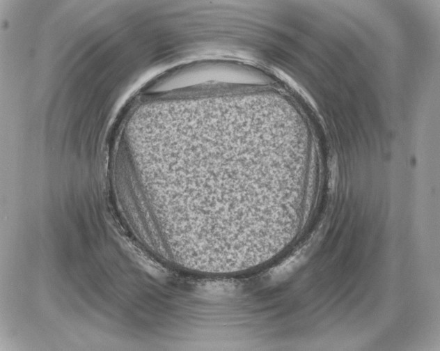 X0000085821021200704132006