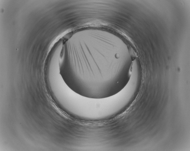 X0000085821026200704132006