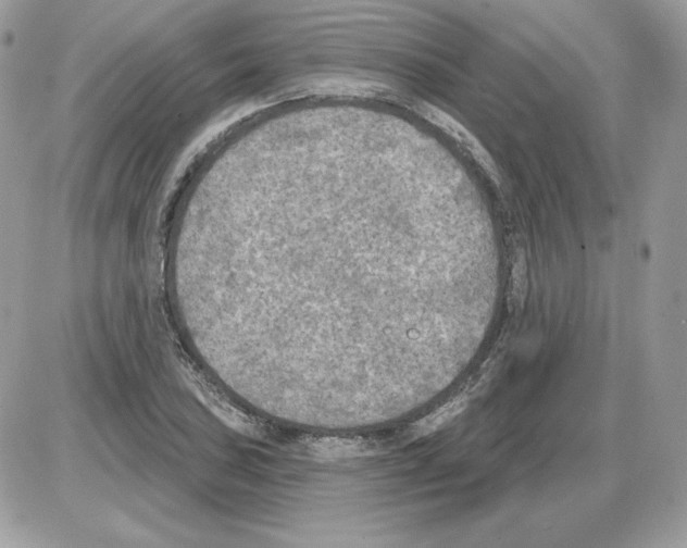 X0000085821027200704132007