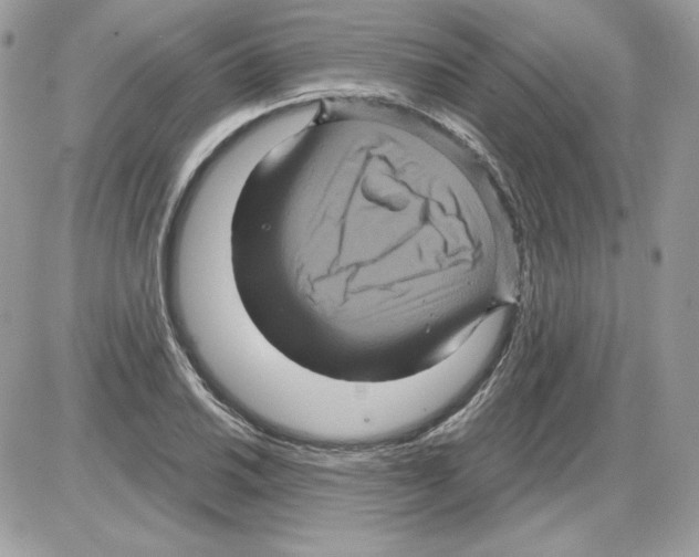 X0000085821030200704132007