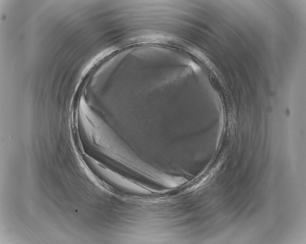 X0000085821034200704132007