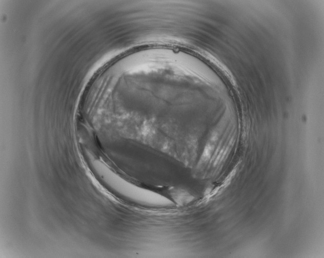 X0000085821037200704132007