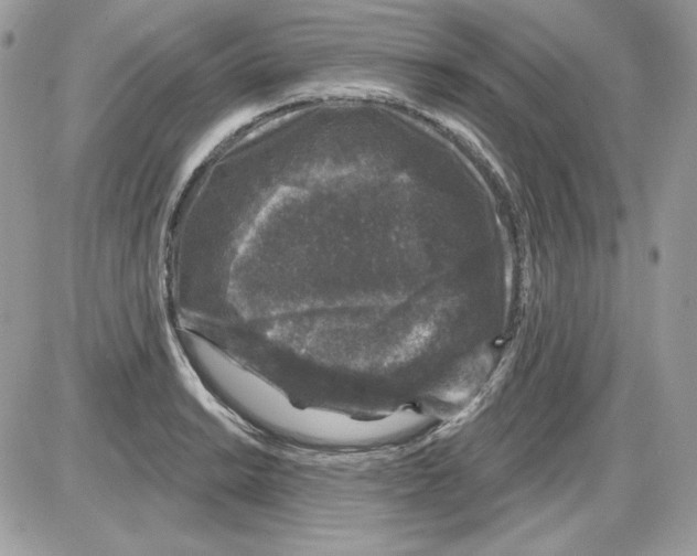 X0000085821038200704132007