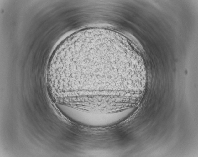 X0000085821044200704132007