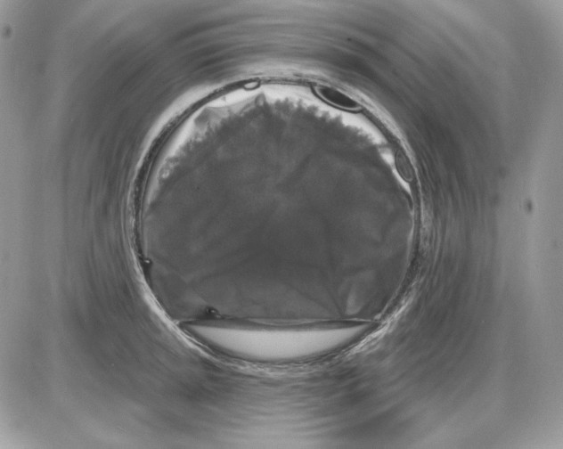 X0000085821045200704132007