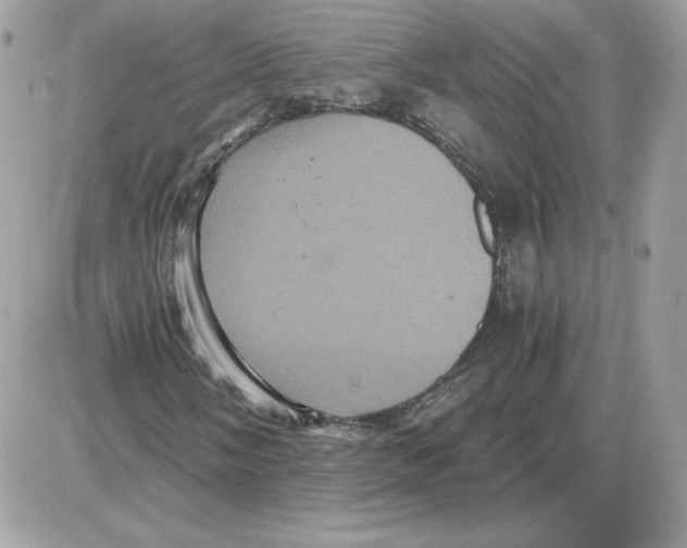 X0000085821058200704132006
