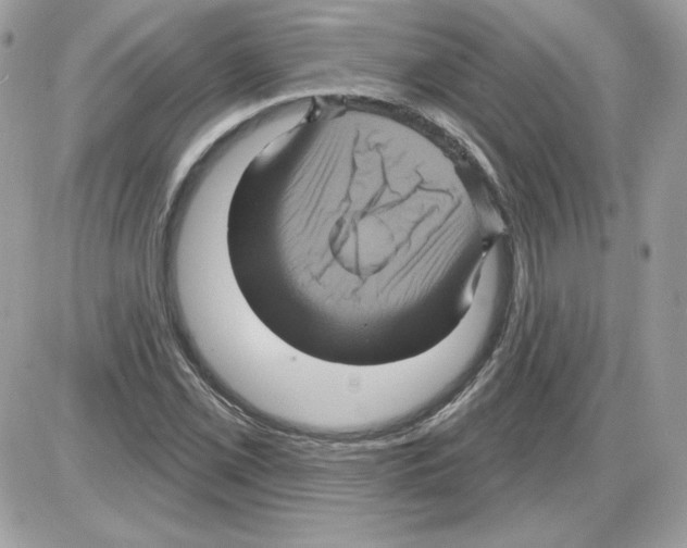 X0000085821069200704132006