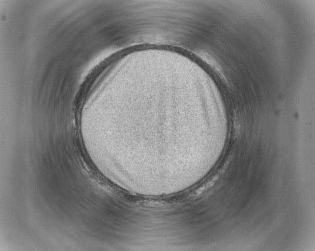 X0000085821070200704132006