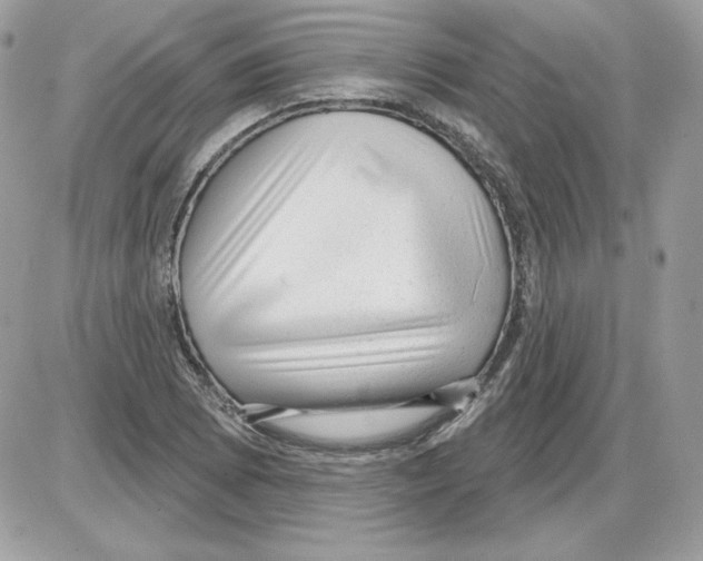 X0000085821073200704132006