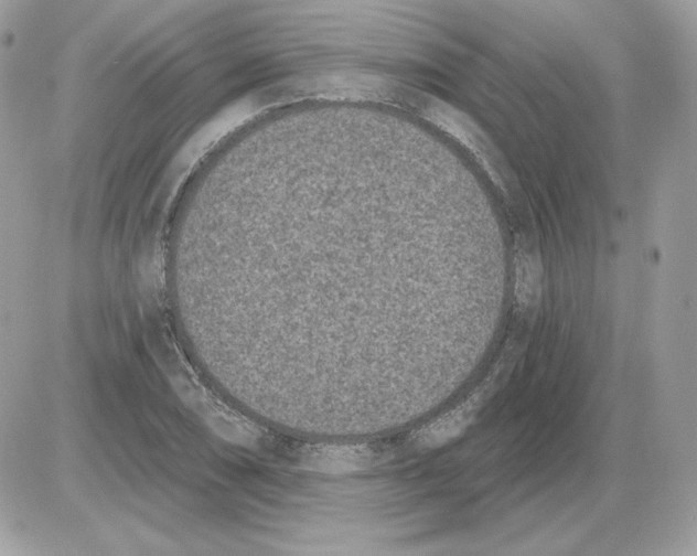 X0000085821074200704132006