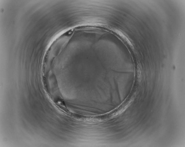 X0000085821077200704132006