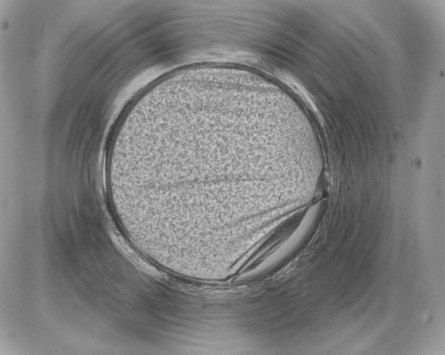X0000085821080200704132006
