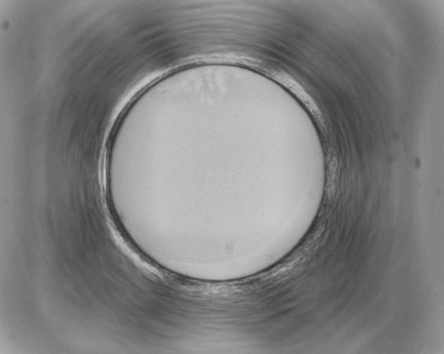 X0000085821084200704132006