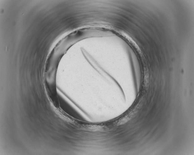 X0000085821085200704132006