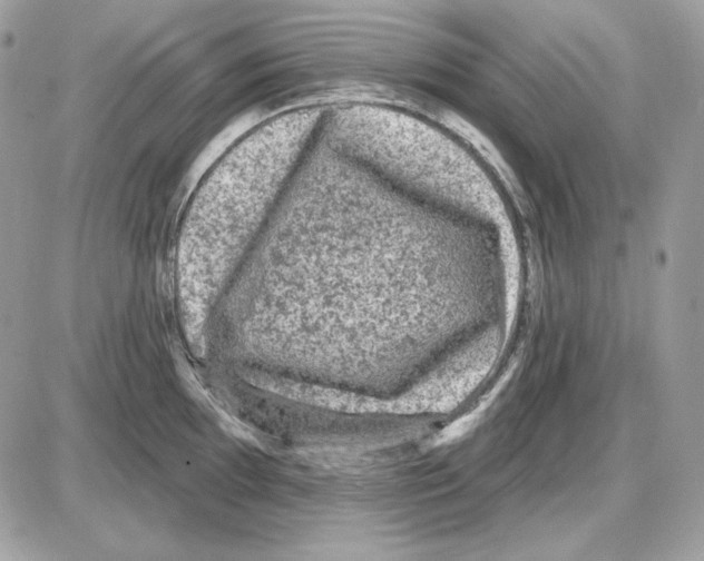 X0000085821097200704132006
